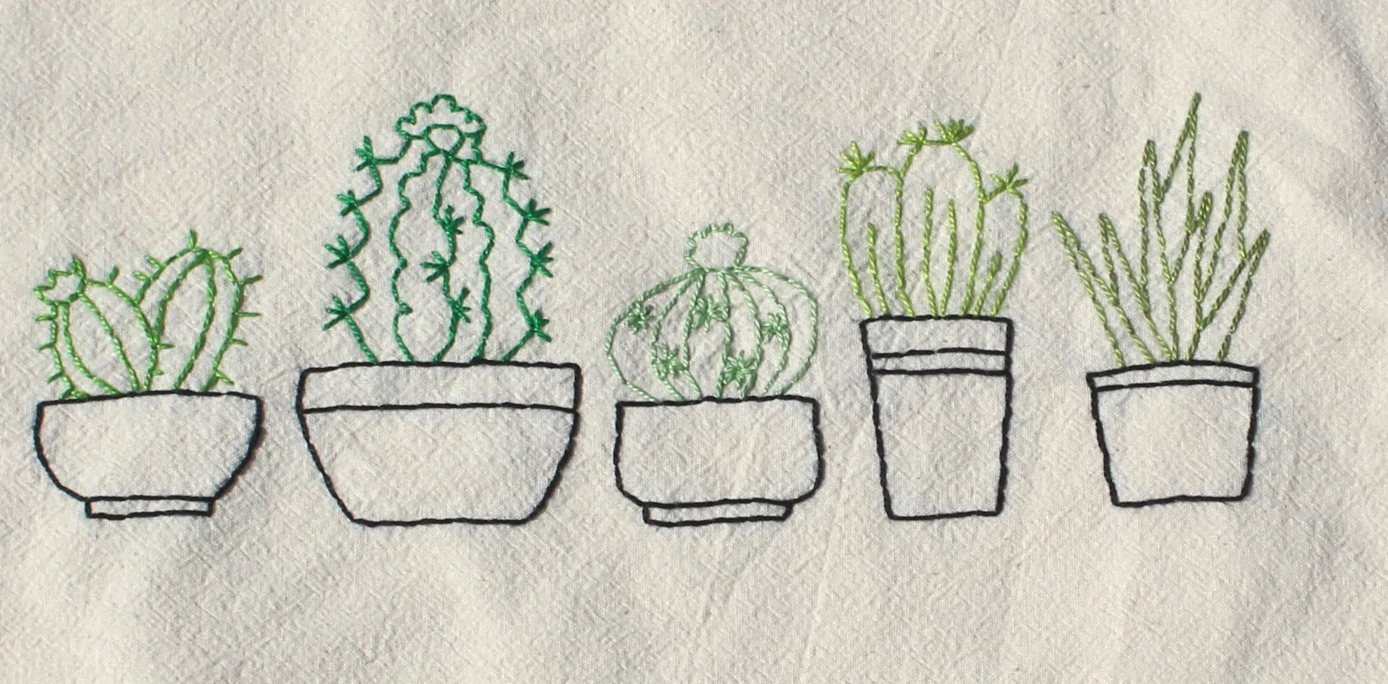 Cactus Collective