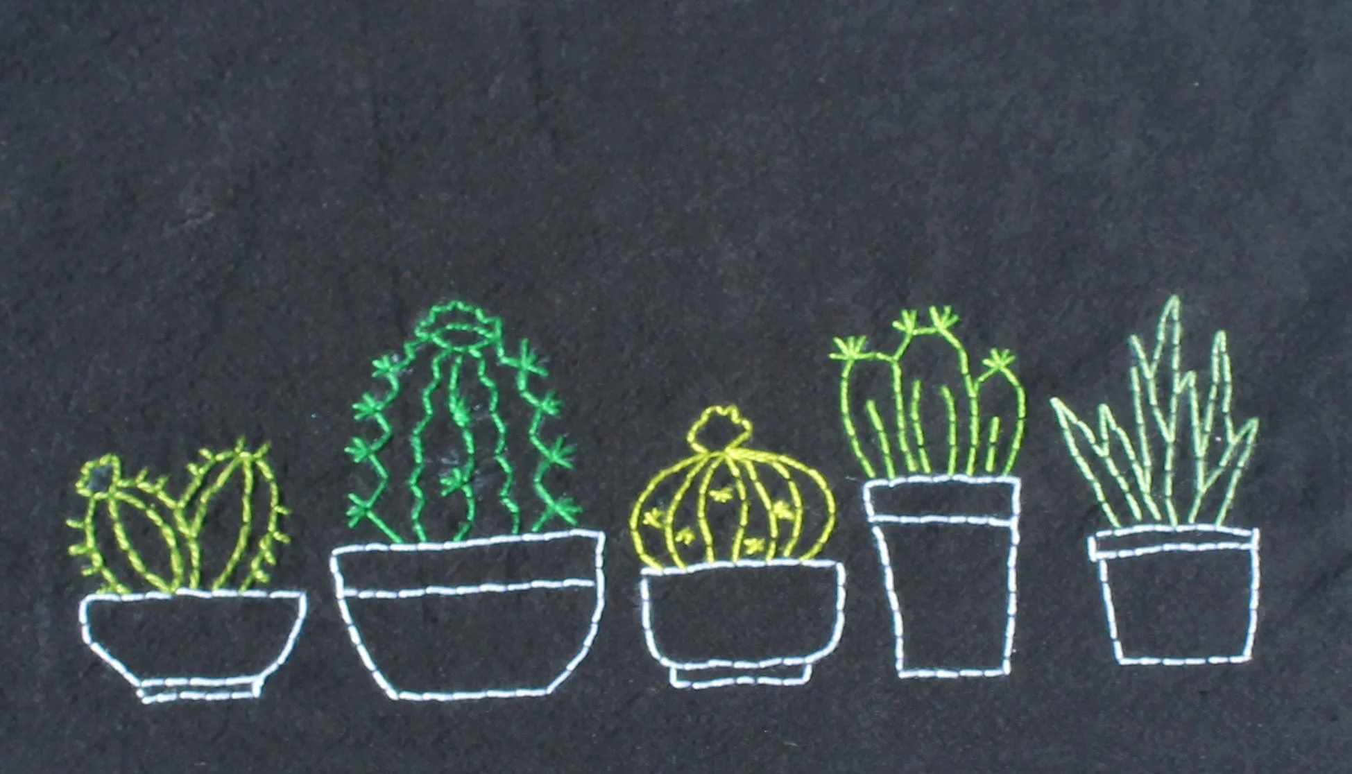 Cactus Collective