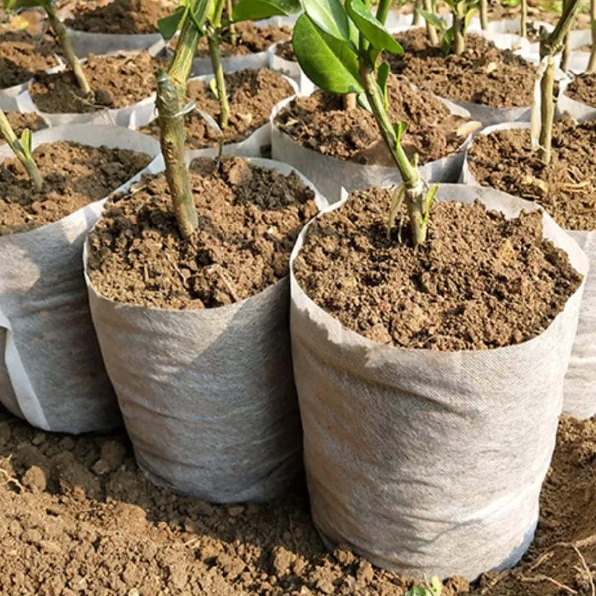 gardtree Plant Nursery Bags 11” x 11.5” 100PCS, Non-Woven Plant Grow Bags Fabric Seedling Starter Pots for Vegetable Flower Fruit Saplings Tree, Home Garden Supply