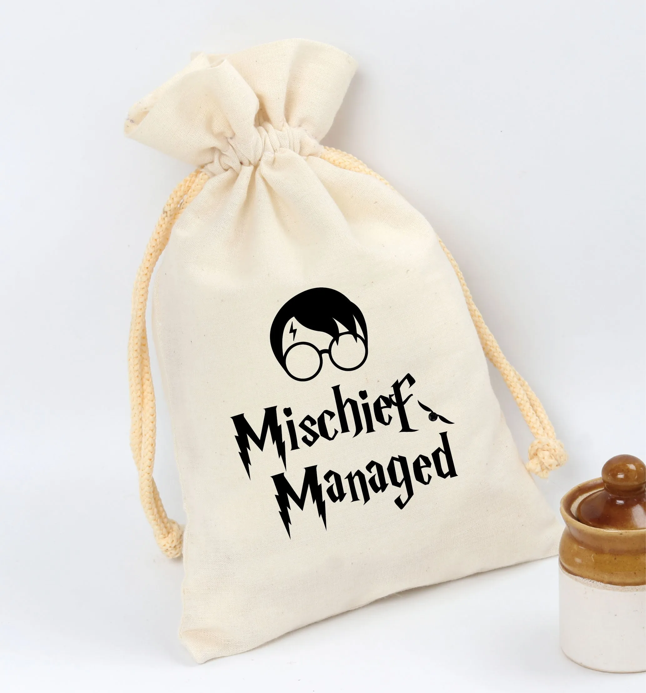 Harry Potter Birthday theme favor bag | Harry Potter  Birthday gift bag
