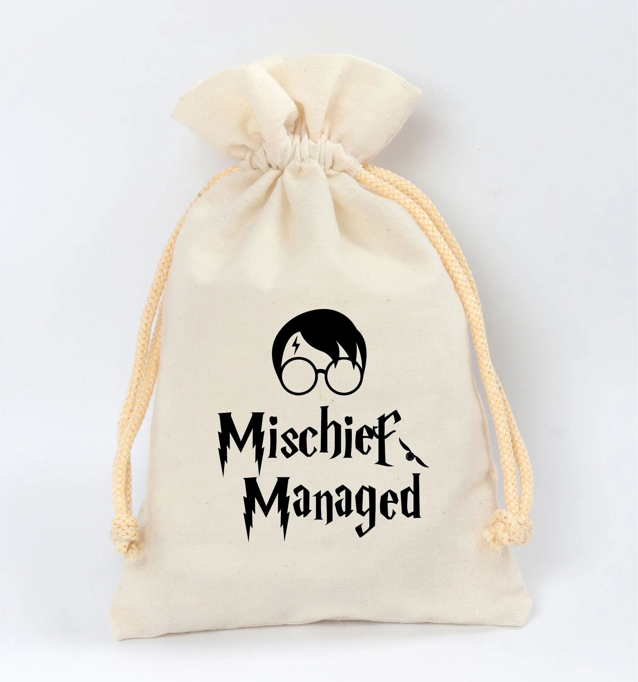 Harry Potter Birthday theme favor bag | Harry Potter  Birthday gift bag