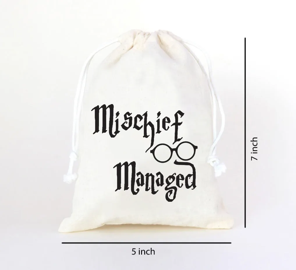 Harry Potter Birthday theme favor bag | Harry Potter  Birthday gift bag