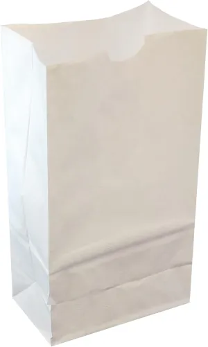 LumaBase Paper Luminaria Bags, White - Set of 24