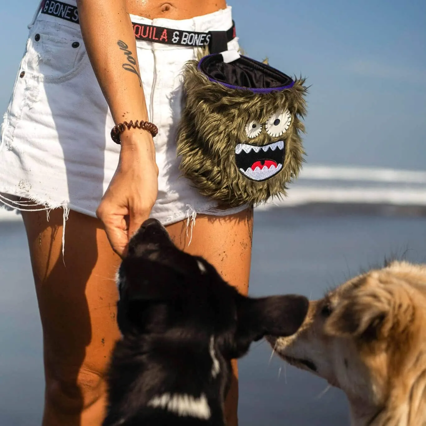 Tequila&Bones Dog Treat Bag Training Pouch, Hands-Free Dog Treat Pouch, Dog Walking Pouch, Waist Bag | Washable Inner Bag | with Belt, Clip & Drawstring Closure (Chase)
