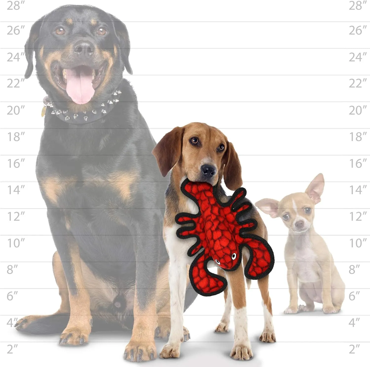 TUFFY - World's Tuffest Soft Dog Toy - Ocean Larry Lobster -Squeakers - Multiple Layers. Made Durable, Strong & Tough. Interactive Play (Tug, Toss & Fetch). Machine Washable & Floats. (Junior 2 Pack)